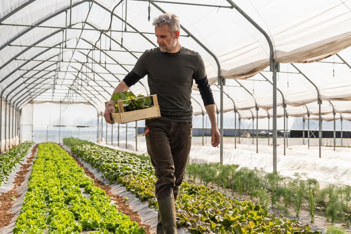 Man in walking a greenhouse carrying plants