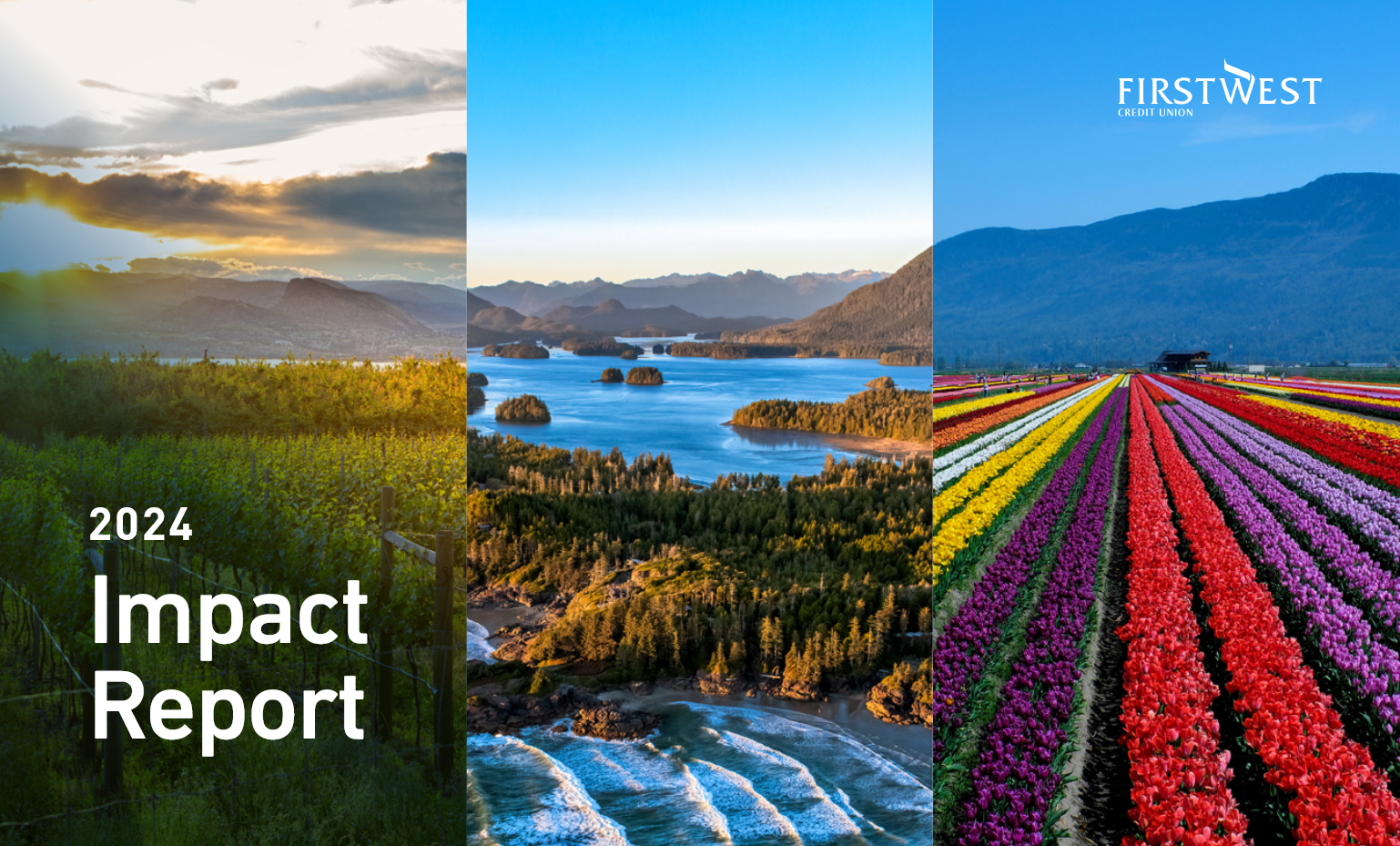 Imapct Report